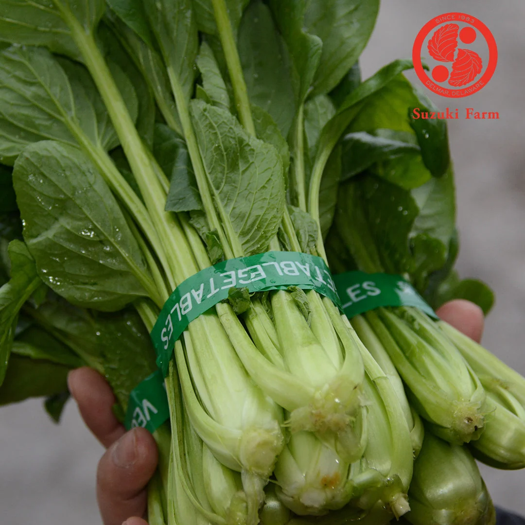 KOMATSUNA Leaves with flower buds | Suzuki Farm | 1 bunch - Image 2